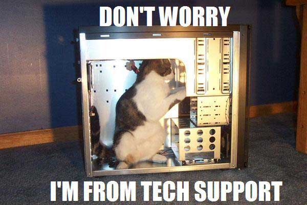 Cat inside a computer